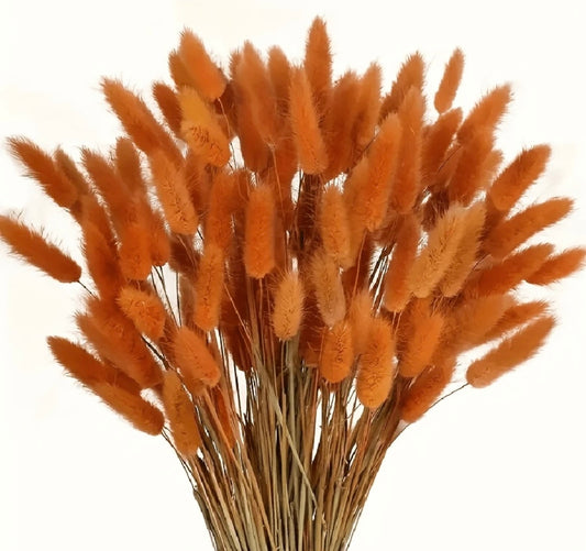 Autumn Boho pampas 90pc